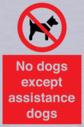 no-dogs-except-assistance-dogs~